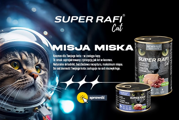 Super Rafi nowości dla kota