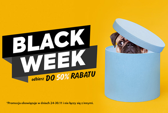 Black Week w Spółce Zoo