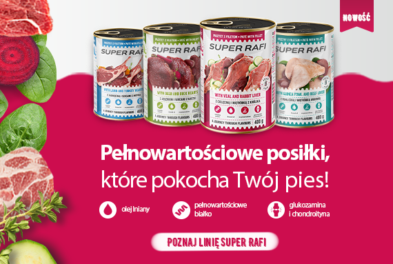 Super Rafi Nowość dla psa