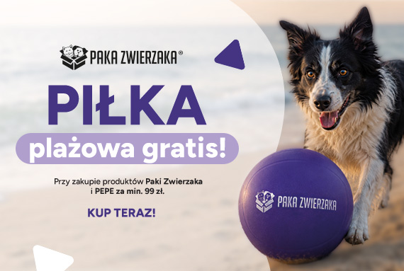 Lato w Paka Zwierzaka i Pepe