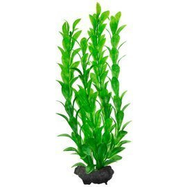 Tetra DecoArt Plant M Hygrophila Roślina do akwarium