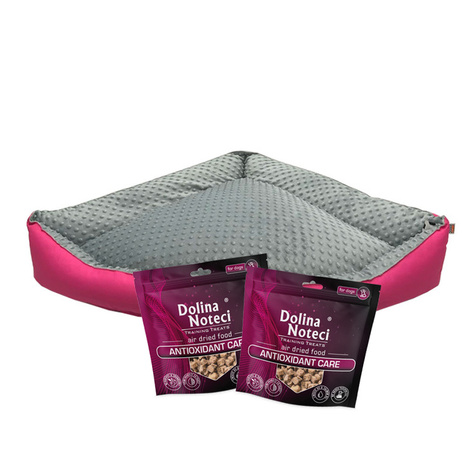 Legowisko narożnik dla psa rozmiar M szare 70 x 70 cm + 2 opakowania Training Treats Antioxidant Care GRATIS