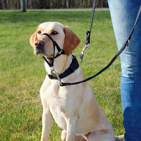 Trixie Top Trainer uprząż szelki treningowe dla psa L 37 cm