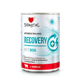 Disugual Weterynaryjna Recovery Karma mokra dla psa rekonwalescenta Jagnięcina 400 g