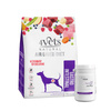 4Vets Natural Gastro Intestinal karma suszona dla psów z zaburzeniami trawienia 1 kg + Over Zoo Over Pectovit Preparat wspomagający przy biegunce dla psów i kotów 50 g