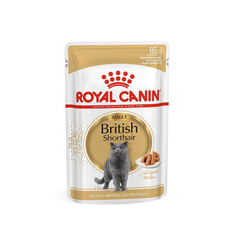BRITISH SHORTHAIR 85 G