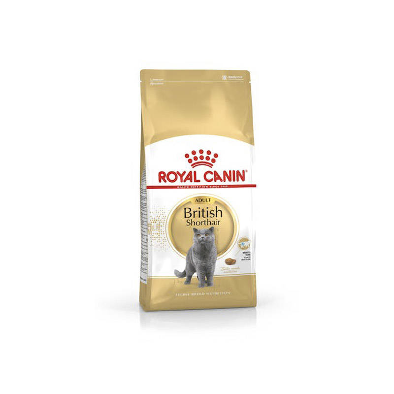 Karma sucha dla kota Royal Canin British Shorthair 4 kg