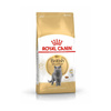 Royal Canin British Shorthair Karma sucha dla kota 400 g