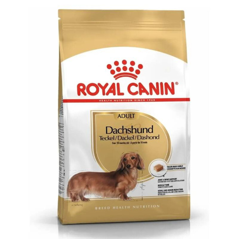 Royal Canin Dachshund Adult Sucha karma dla psa dorosły i starszy jamnik 1,5 kg