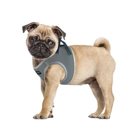 CHABA Szelki dla psa Protect modna szarość L