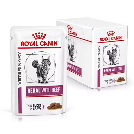Royal Canin Renal Beef Karma mokra dla kota z wołowiną wspomagająca funkcje nerek pakiet 12 x 85 g