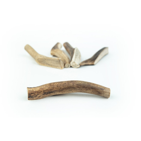 Psi Smak gryzak dla psa poroże jelenia hard M