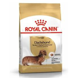 Royal Canin Dachshund Adult Sucha karma dla psa dorosły i starszy jamnik 1,5 kg