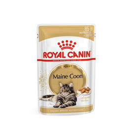 Royal Canin Maine Coon karma mokra dla kota 85 g