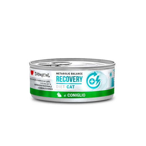 Disugual Weterynaryjna Recovery Karma mokra dla kota Królik 85 g