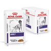 Royal Canin Karma mokra dla psa z problemami skóry i sierści pakiet 12 x 100 g