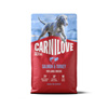Carnilove Active Dog Salmon & Turkey Ad. Large 4 kg