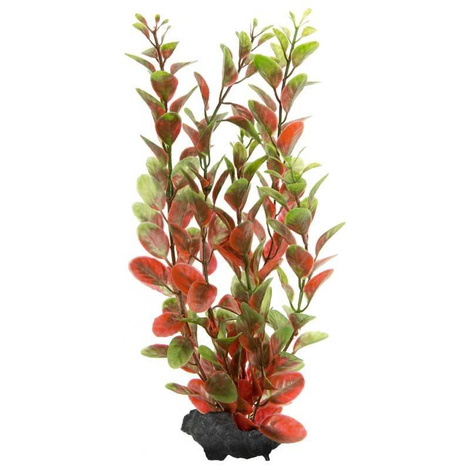 Tetra DecoArt Plant M Red A319 Ludwigia Roślina do akwarium