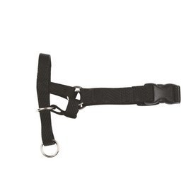 Kaganiec treningowy Chaba  6 - Bernhardiner