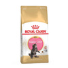 Royal Kitten Maine Coon sucha karma dla kota 2 kg