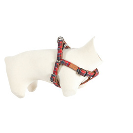 ZOLUX szelki IMAO SCOTT 25 mm granatowy