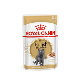 BRITISH SHORTHAIR 85 G