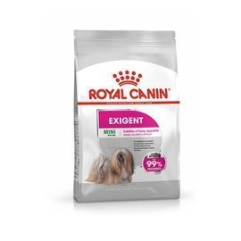 Karma sucha dla psa Royal Canin Mini Exigent 1kg