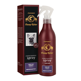 Spray nabłyszczający Champ-Richer 250 ml