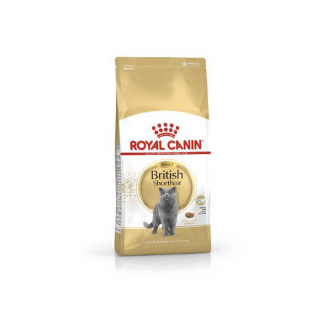 Karma dla kota Royal Canin British Shorthair 4kg