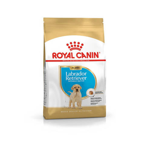 Royal Canin Labrador Puppy sucha karma dla psa 3kg