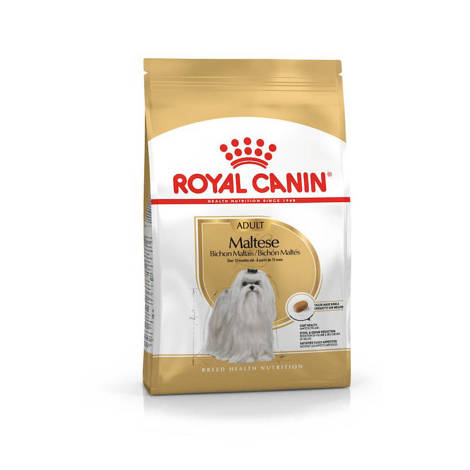 Royal Canin Maltese Adult sucha karma dla psa 500g