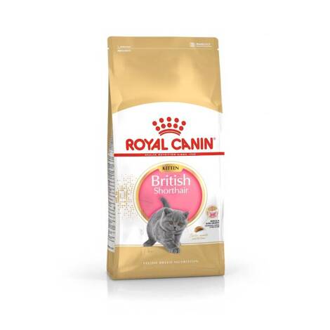 Royal Kitten Brit Shorth sucha karma dla kota 2 kg