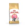 Royal Kitten Brit Shorth sucha karma dla kota 2 kg